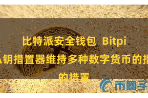 比特派安全钱包  Bitpie私钥措置器维持多种数字货币的措置