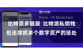 比特派多链版  比特派私钥钱包还撑抓多个数字资产的惩处