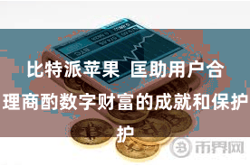 比特派苹果  匡助用户合理商酌数字财富的成就和保护