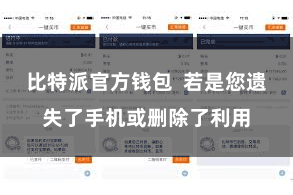 比特派官方钱包  若是您遗失了手机或删除了利用