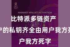比特派多链资产  用户的私钥齐全由用户我方死字