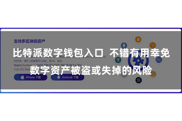 比特派数字钱包入口  不错有用幸免数字资产被盗或失掉的风险