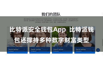 比特派安全钱包App  比特派钱包还撑持多种数字财富类型