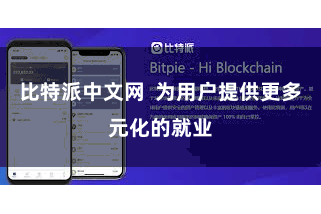 比特派中文网  为用户提供更多元化的就业